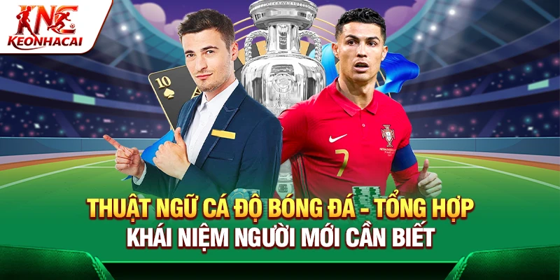 https://leeuwhondjes.nl/thuat-ngu-ca-do-bong-da/